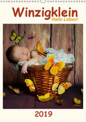 :: Fotodesign | Winzigklein - Hallo Leben! (Wandkalender 2019 DIN A3 hoch) | Sonstiges | 978-3-670-03572-5 | www.sack.de