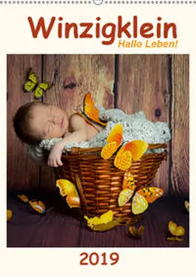 :: Fotodesign | Winzigklein - Hallo Leben! (Wandkalender 2019 DIN A2 hoch) | Sonstiges | 978-3-670-03573-2 | www.sack.de