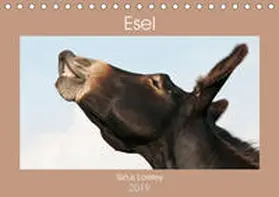 Bölts |  Esel - Sixtus Loreley (Tischkalender 2019 DIN A5 quer) | Sonstiges |  Sack Fachmedien