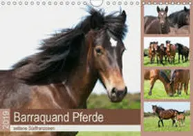 Bölts | Barraquand Pferde - seltene Südfranzosen (Wandkalender 2019 DIN A4 quer) | Sonstiges | 978-3-670-03771-2 | www.sack.de