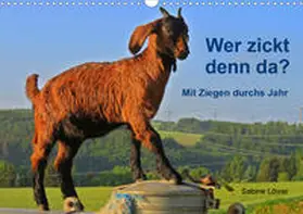 Löwer |  Wer zickt denn da? Mit Ziegen durchs Jahr (Wandkalender 2020 DIN A3 quer) | Sonstiges |  Sack Fachmedien