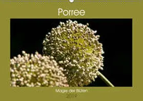 Bölts |  Porree - Magie der Blüten (Wandkalender 2019 DIN A2 quer) | Sonstiges |  Sack Fachmedien