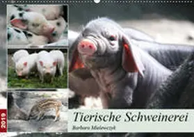 Mielewczyk | Tierische Schweinerei (Wandkalender 2019 DIN A2 quer) | Sonstiges | 978-3-670-07422-9 | www.sack.de
