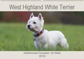 Mielewczyk |  West Highland White Terrier - Selbstbewustes Powerpaket - der Westie (Wandkalender 2019 DIN A2 quer) | Sonstiges |  Sack Fachmedien