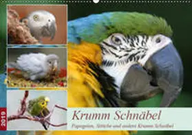 Mielewczyk |  Krumm Schnäbel  - Papageien, Sittiche und andere Krumm Schnäbel (Wandkalender 2019 DIN A2 quer) | Sonstiges |  Sack Fachmedien