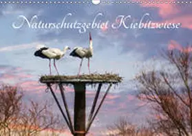 Störmer | Naturschutzgebiet Kiebitzwiese (Wandkalender 2019 DIN A3 quer) | Sonstiges | 978-3-670-08096-1 | www.sack.de