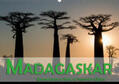 Pohl |  Madagaskar - Geheimnisvolle Insel im Indischen Ozean (Wandkalender 2019 DIN A2 quer) | Sonstiges |  Sack Fachmedien