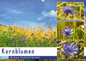 Löwer |  Kornblumen - Blaue Schönheiten (Wandkalender 2019 DIN A2 quer) | Sonstiges |  Sack Fachmedien