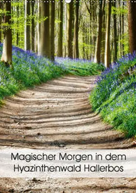 Patrick |  Magischer Morgen in dem Hyazinthenwald Hallerbos (Wandkalender 2019 DIN A2 hoch) | Sonstiges |  Sack Fachmedien