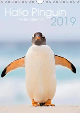 Odermatt | Hallo Pinguin (Wandkalender 2019 DIN A4 hoch) | Sonstiges | 978-3-670-09854-6 | www.sack.de