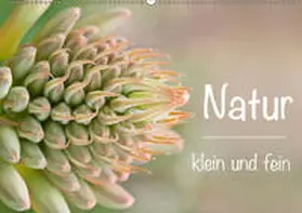 Busse |  Natur klein und fein (Wandkalender 2019 DIN A2 quer) | Sonstiges |  Sack Fachmedien