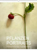 Weber |  Pflanzenportraits FineArt Fotografie Daniela Weber (Wandkalender 2019 DIN A3 hoch) | Sonstiges |  Sack Fachmedien