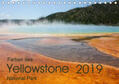 Zimmermann |  Farben des Yellowstone National Park 2019 (Tischkalender 2019 DIN A5 quer) | Sonstiges |  Sack Fachmedien