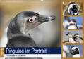 und Yvonne Herzog / Herzog |  Pinguine im Portrait - Frackträger in Südafrika (Wandkalender 2019 DIN A2 quer) | Sonstiges |  Sack Fachmedien