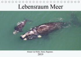 und Yvonne Herzog | Lebensraum Meer - Heimat von Walen, Haien, Pinguinen... (Tischkalender 2019 DIN A5 quer) | Sonstiges | 978-3-670-10856-6 | sack.de
