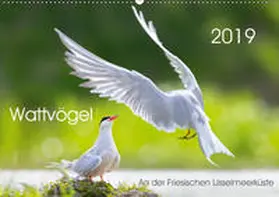 Will |  Wattvögel an der Friesischen IJsselmeerküste (Wandkalender 2019 DIN A2 quer) | Sonstiges |  Sack Fachmedien
