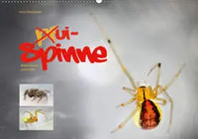 Schmidbauer |  ui - Spinne. Kleine Spinnen - groß im Bild (Wandkalender 2019 DIN A2 quer) | Sonstiges |  Sack Fachmedien