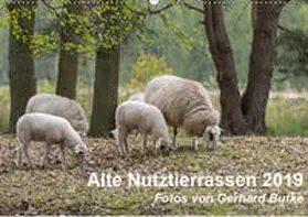 Butke |  Alte Nutztierrassen 2019 (Wandkalender 2019 DIN A2 quer) | Sonstiges |  Sack Fachmedien
