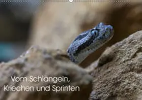 Krieger |  Vom Schlängeln, Kriechen und Sprinten (Wandkalender 2019 DIN A2 quer) | Sonstiges |  Sack Fachmedien