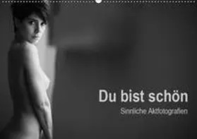 Wittig |  Du bist schön - Sinnliche Aktfotografien (Wandkalender 2019 DIN A2 quer) | Sonstiges |  Sack Fachmedien