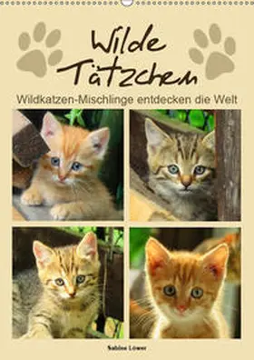 Löwer |  Wilde Tätzchen (Wandkalender 2019 DIN A2 hoch) | Sonstiges |  Sack Fachmedien