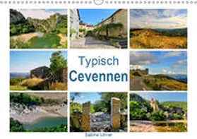 Löwer |  Typisch Cevennen (Wandkalender 2019 DIN A3 quer) | Sonstiges |  Sack Fachmedien