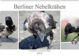 Schilling |  Berliner Nebelkrähen (Wandkalender 2019 DIN A2 quer) | Sonstiges |  Sack Fachmedien