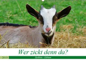 Löwer |  Wer zickt denn da? (Wandkalender 2019 DIN A2 quer) | Sonstiges |  Sack Fachmedien