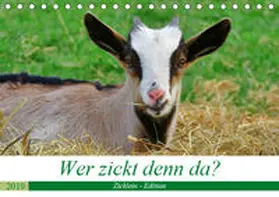 Löwer |  Wer zickt denn da? (Tischkalender 2019 DIN A5 quer) | Sonstiges |  Sack Fachmedien