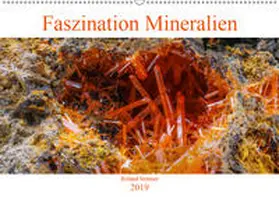 Störmer |  Faszination Mineralien (Wandkalender 2019 DIN A2 quer) | Sonstiges |  Sack Fachmedien