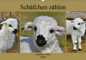 Löwer | Schäfchen zählen - Lämmchen-Edition (Wandkalender 2019 DIN A2 quer) | Sonstiges | 978-3-670-16805-8 | www.sack.de