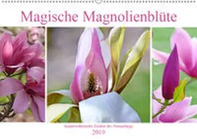 B-B Müller |  Magische Magnolienblüte (Wandkalender 2019 DIN A2 quer) | Sonstiges |  Sack Fachmedien