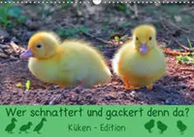 Löwer |  Wer schnattert und gackert denn da? - Küken-Edition (Wandkalender 2019 DIN A3 quer) | Sonstiges |  Sack Fachmedien