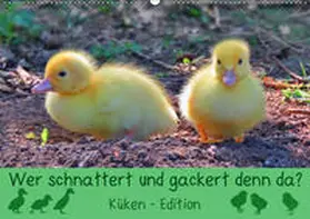 Löwer | Wer schnattert und gackert denn da? - Küken-Edition (Wandkalender 2019 DIN A2 quer) | Sonstiges | 978-3-670-21082-5 | www.sack.de