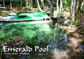 Weiß |  Emerald Pool, Provinz Krabi - Thailand (Wandkalender 2019 DIN A2 quer) | Sonstiges |  Sack Fachmedien