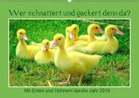 Löwer |  Wer gackert und schnattert denn da? Mit Enten und Hühnern durchs Jahr (Wandkalender 2019 DIN A2 quer) | Sonstiges |  Sack Fachmedien
