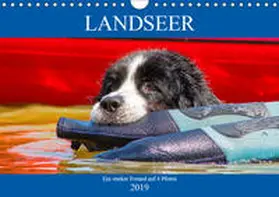 Starick |  Landseer - Ein starker Freund auf 4 Pfoten (Wandkalender 2019 DIN A4 quer) | Sonstiges |  Sack Fachmedien