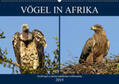 Herzog |  Vögel in Afrika (Wandkalender 2019 DIN A2 quer) | Sonstiges |  Sack Fachmedien