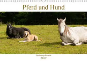 Bölts |  Pferd und Hund - Vierbeinige Freunde (Wandkalender 2019 DIN A3 quer) | Sonstiges |  Sack Fachmedien