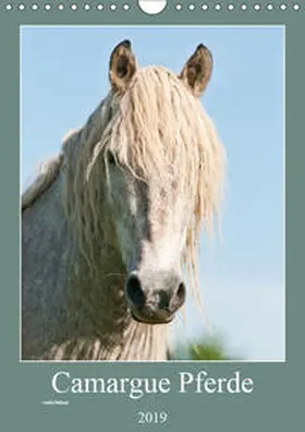 Bölts |  Camargue Pferde - weiße Mähnen (Wandkalender 2019 DIN A4 hoch) | Sonstiges |  Sack Fachmedien