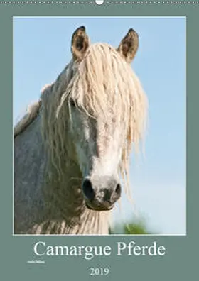 Bölts |  Camargue Pferde - weiße Mähnen (Wandkalender 2019 DIN A2 hoch) | Sonstiges |  Sack Fachmedien