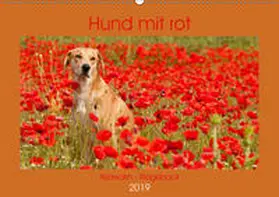 Bölts |  Hund mit rot - Azawakh - Ridgeback (Wandkalender 2019 DIN A2 quer) | Sonstiges |  Sack Fachmedien