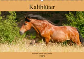 Bölts |  Kaltblüter - Schwere Pferde mit Charme (Wandkalender 2019 DIN A2 quer) | Sonstiges |  Sack Fachmedien