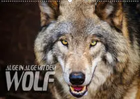 Bleicher |  Auge in Auge mit dem Wolf (Wandkalender 2019 DIN A2 quer) | Sonstiges |  Sack Fachmedien