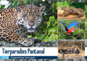 und Yvonne Herzog / Herzog | Tierparadies Pantanal (Wandkalender 2020 DIN A2 quer) | Sonstiges | 978-3-670-31612-1 | sack.de