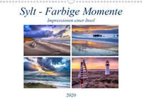 Hasche |  Sylt - Farbige Momente (Wandkalender 2020 DIN A3 quer) | Sonstiges |  Sack Fachmedien