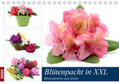Frost |  Blütenpracht in XXL - Rhododendron und Azalee (Tischkalender 2020 DIN A5 quer) | Sonstiges |  Sack Fachmedien