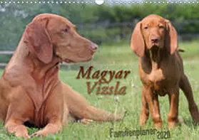 Mielewczyk |  Familienplaner - Magyar Vizsla (Wandkalender 2020 DIN A3 quer) | Sonstiges |  Sack Fachmedien