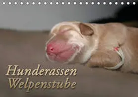 Mielewczyk |  Hunderassen - Welpenstube (Tischkalender 2020 DIN A5 quer) | Sonstiges |  Sack Fachmedien