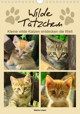 Löwer |  Wilde Tätzchen - Kleine wilde Katzen entdecken die Welt (Wandkalender 2020 DIN A4 hoch) | Sonstiges |  Sack Fachmedien